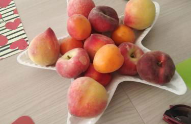 A casa di nonno Pippo - Photo 29