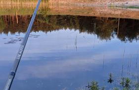 Agroturystyka "Apartament na wsi" Bory Tucholskie - Foto 33