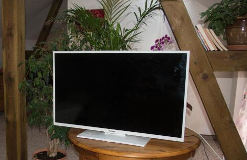 Blumenhaus - Foto 13