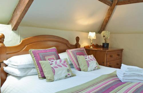 Braveheart's - Uk6740 - Foto 5