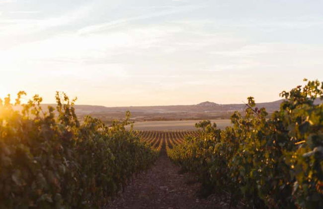 Altanza Winery Tour - Photo 1