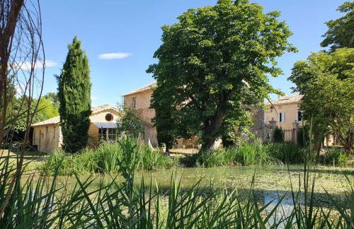 Gite Le Figuier - La Roseraie du Val'ensoleillé - Photo 4