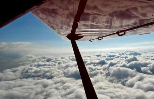 Altstadtnest - Foto 24