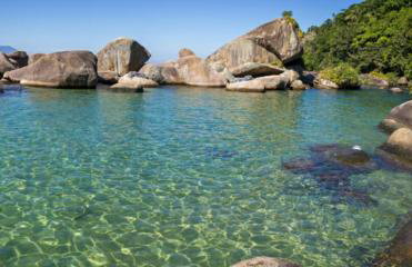 Casa da Floresta - Foto 20