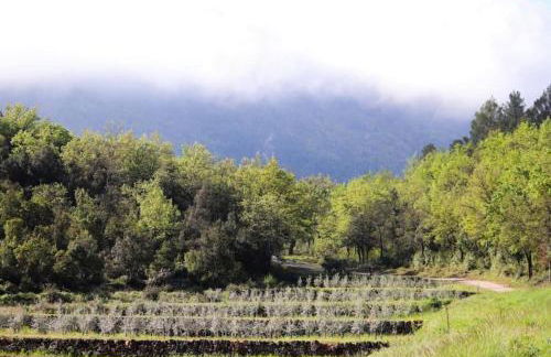 Engardin, un havre de paix en Provence Verte - Foto 38