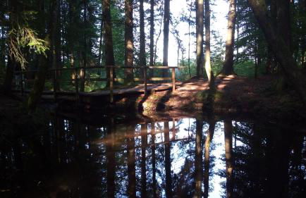 Ferienwohnung Elisabeth - Foto 29