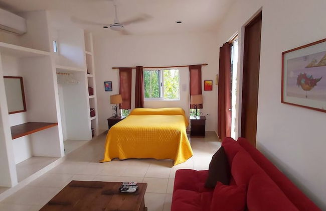 Mini Pini Birdwatching and Cenote Loft4 you Only - Foto 14