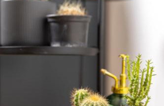 Apartment Nina - Photo 17