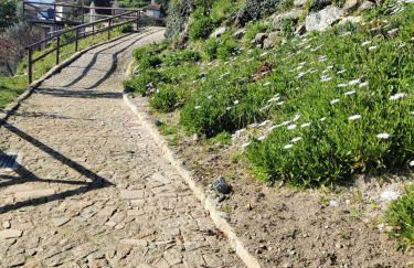 A Casa da Japoneira CB - Foto 35