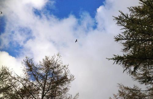 Byre Cottages & Log Cabin - Foto 41