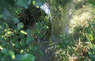 Agriturismo alla Corte - Foto 34