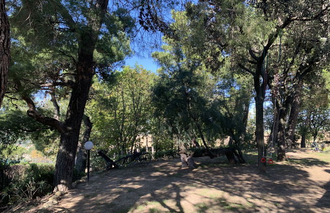 Maria Rosaria - Foto 25