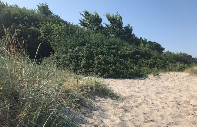 5 Person Holiday Home in Odder-by Traum - Foto 6