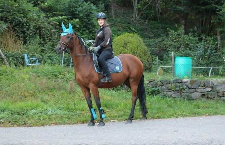 Schwoererhof - Photo 42