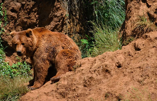 Escursione al Parco di Cabárceno - Foto 1