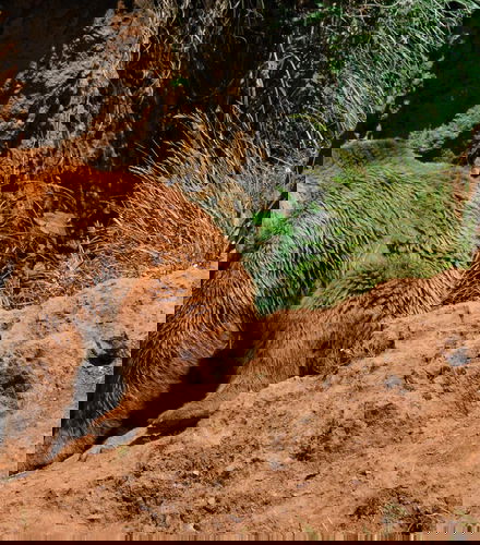 Foto de Excursión a Cabárceno desde Santander