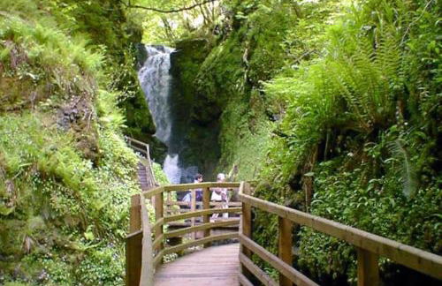 Tamlaught house - Foto 15