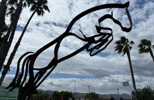 MET Oliva Nova Playa chalet grande con jardín MET a 5 minutos y a 3 de la playa - Foto 35