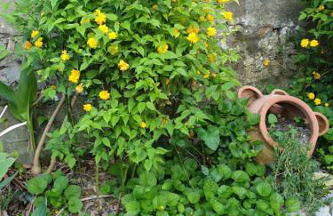 Creativ hause - Foto 22