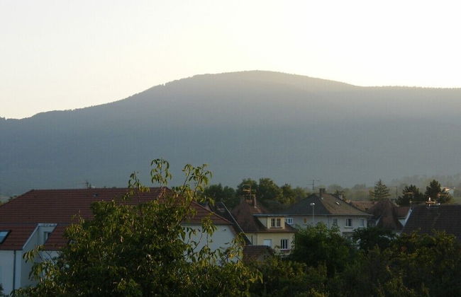 Studio 1 - Location de Vacances Obernai - Foto 15