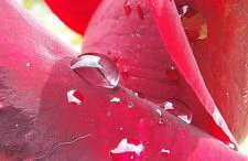 Ktima Anastasia - Foto 6