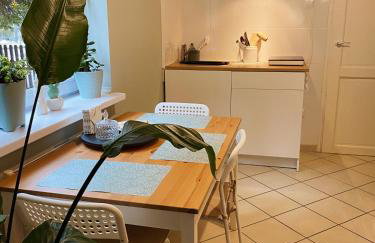 Apartamenty Jagodzianka - Jacuzzi, Sauna, Hot-bania, Tężnia - Foto 50