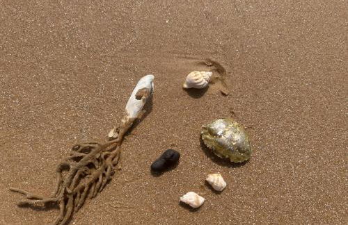 High view house, 3 bed flat, Number 41A - Foto 39