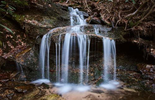 Romantic Penrose Cabin with Pond, Trails and Hot Tub - Foto 2