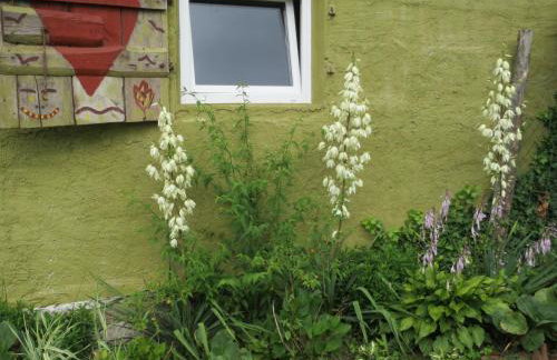 Chata na końcu świata - Foto 28