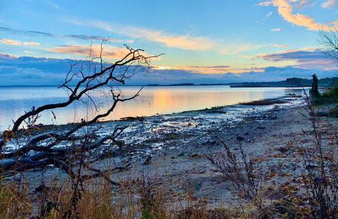 Awesome Apartment In Hohen Wieschendorf - Foto 22