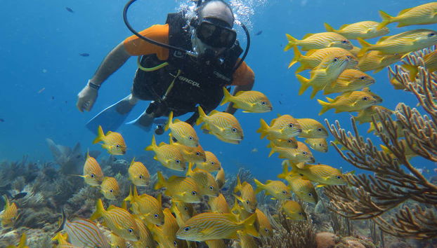 Baptême de plongée à Cancún