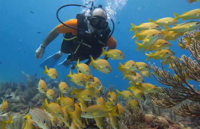 Bautismo de buceo en Cancún - Foto 1