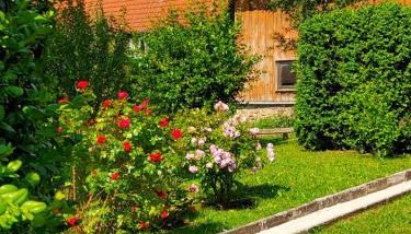 Ferienwohnung Nonnenbergblick - Foto 5