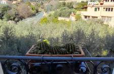 u' caruggiu de cisan - Foto 10