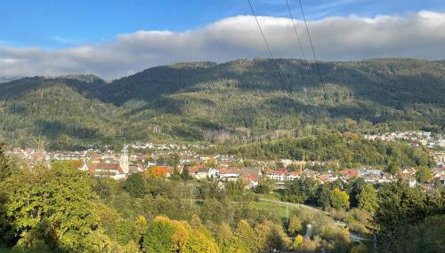 Wehr Orchidee Apartment - Foto 2