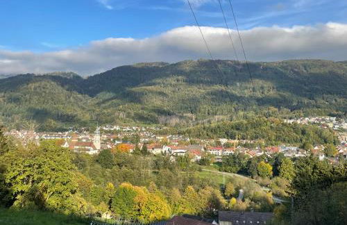 Wehr Orchidee Apartment - Foto 2