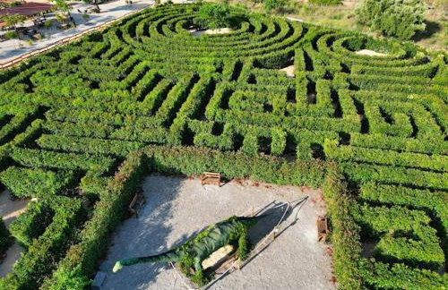 PERLA BLANCA I Peñíscola - Foto 45