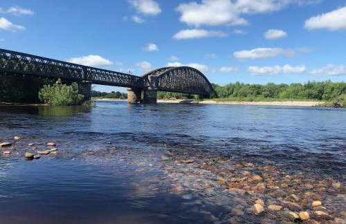 March Brown - Foto 13