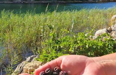 Apartman Milanko - Foto 33