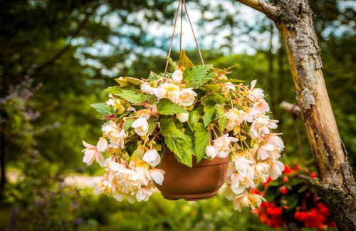 tuŻur domki nad potokiem - Foto 18
