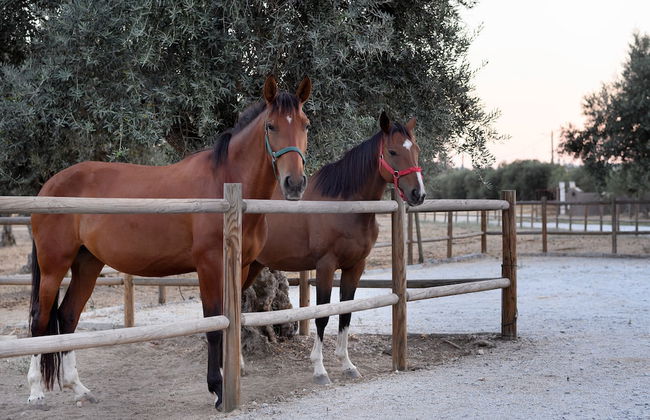 Casa do Governador - Photo 50