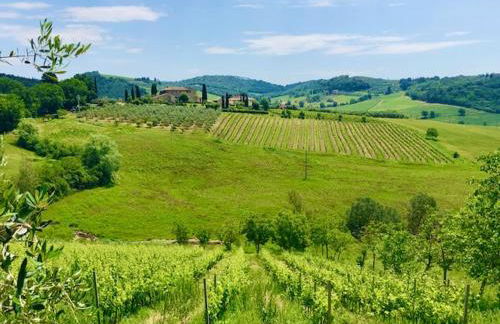 Vittoria Chianti Vacations - Foto 71