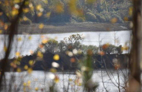 Le Gîte au bord de la Forêt - Foto 40