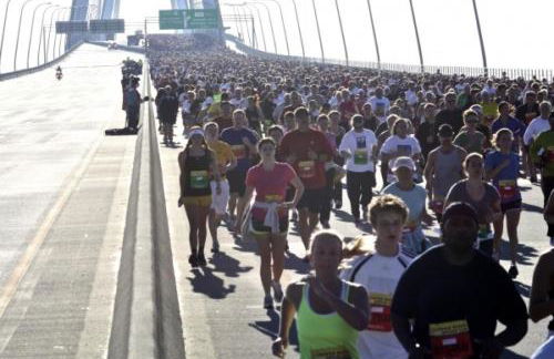 Green Whale - Photo 22