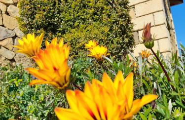 Agriturismo la stragola - Foto 10