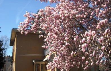 Sentirsi a casa, lontano da casa-feel at home away from home - Foto 27