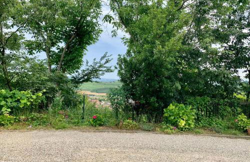 La casa Rosa - Foto 15