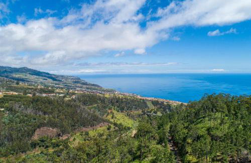 Quinta Frizado - Foto 43