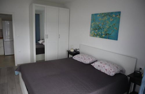 apartman bogoje zapad - Photo 14