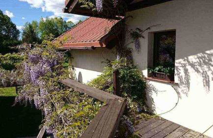 Agroturystyka Dolinka - Foto 9